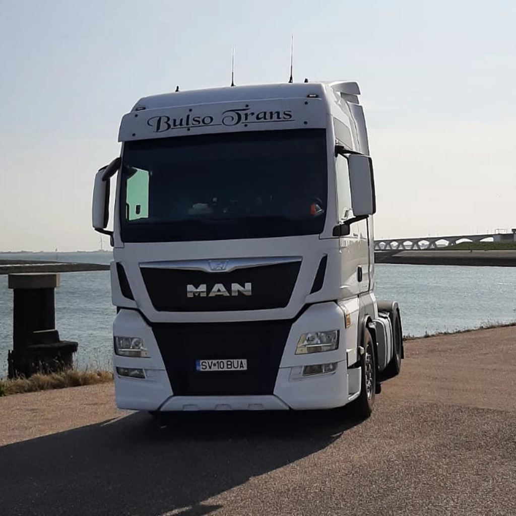 camion Bulso Trans si un peisaj frumos