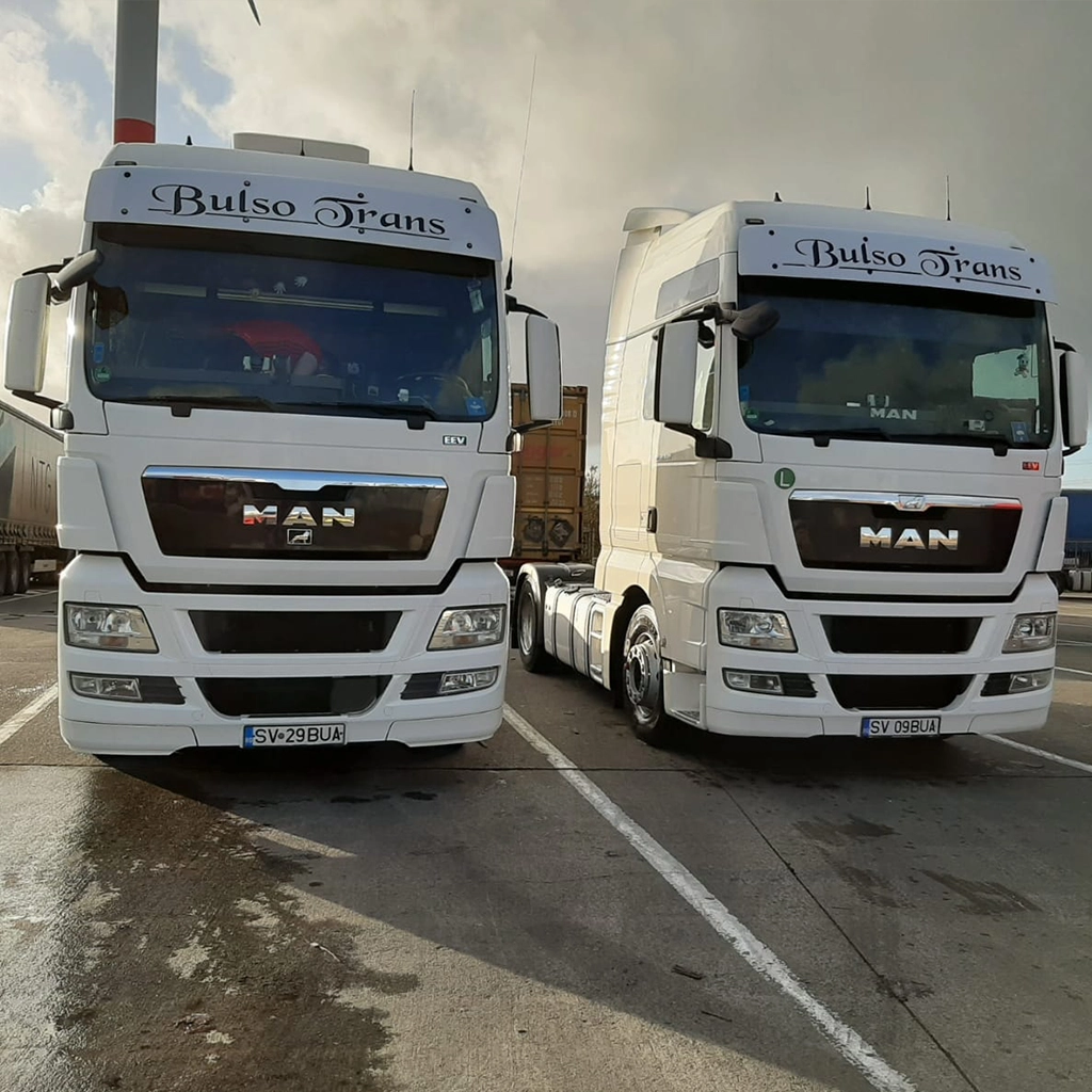 o parte din flota firmei Bulso Trans